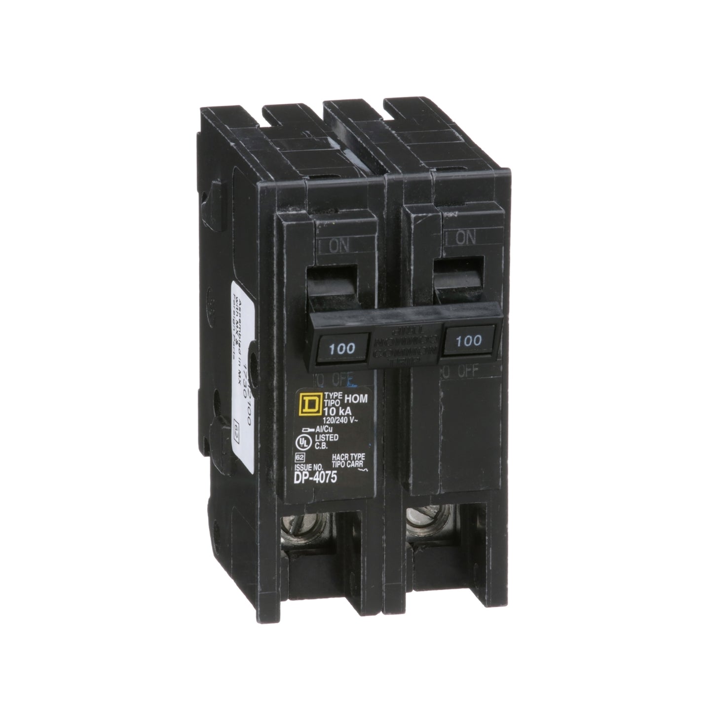 Interruptor Enchufable Homeline 2P 100A 10kA 120/240Vac
